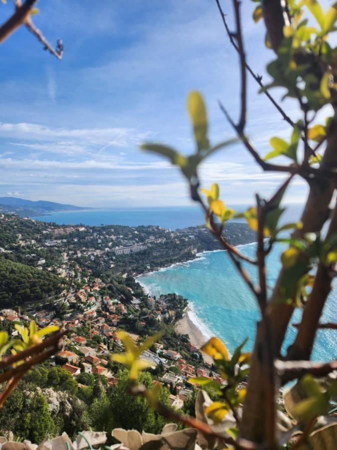 Your Favorite * Menton